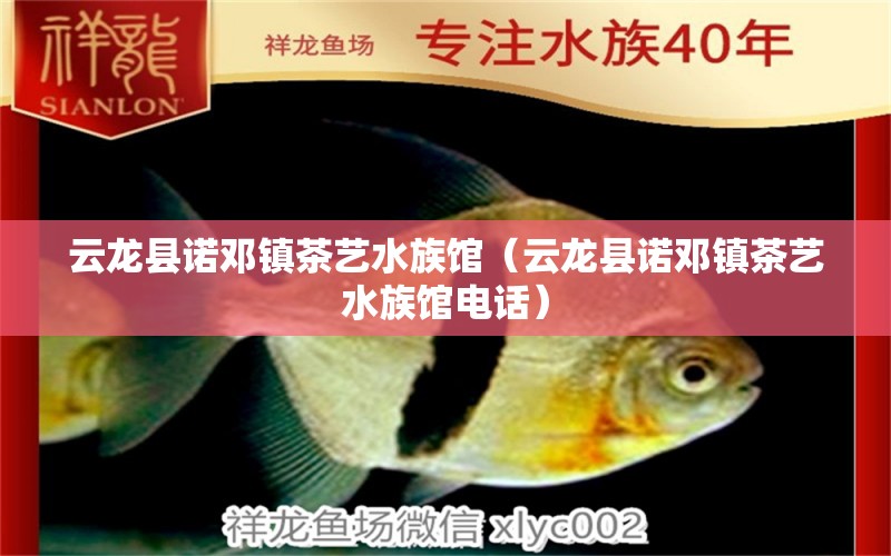 云龍縣諾鄧鎮(zhèn)茶藝水族館（云龍縣諾鄧鎮(zhèn)茶藝水族館電話）