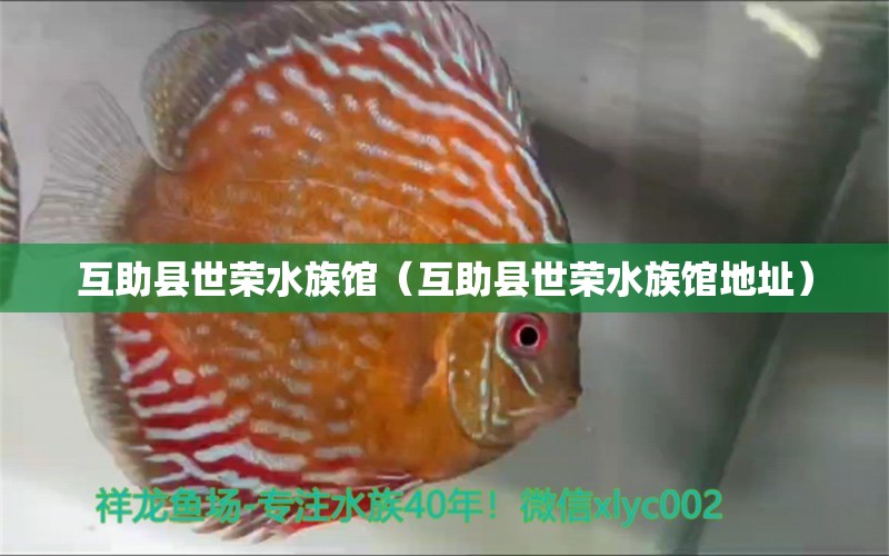 互助縣世榮水族館（互助縣世榮水族館地址） 全國水族館企業(yè)名錄