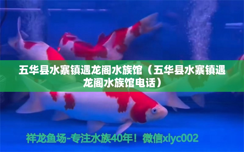 五華縣水寨鎮(zhèn)遇龍閣水族館（五華縣水寨鎮(zhèn)遇龍閣水族館電話） 全國水族館企業(yè)名錄