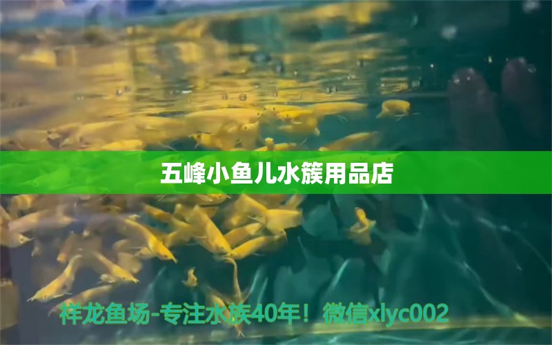 五峰小魚兒水簇用品店 全國水族館企業(yè)名錄