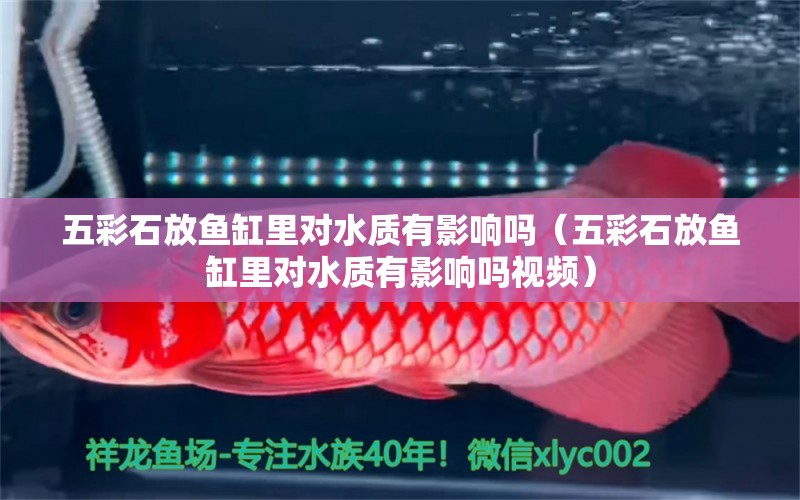 五彩石放魚缸里對水質(zhì)有影響嗎（五彩石放魚缸里對水質(zhì)有影響嗎視頻） 其他品牌魚缸