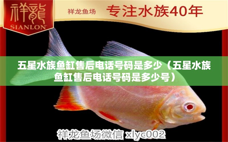 五星水族魚缸售后電話號(hào)碼是多少（五星水族魚缸售后電話號(hào)碼是多少號(hào)）