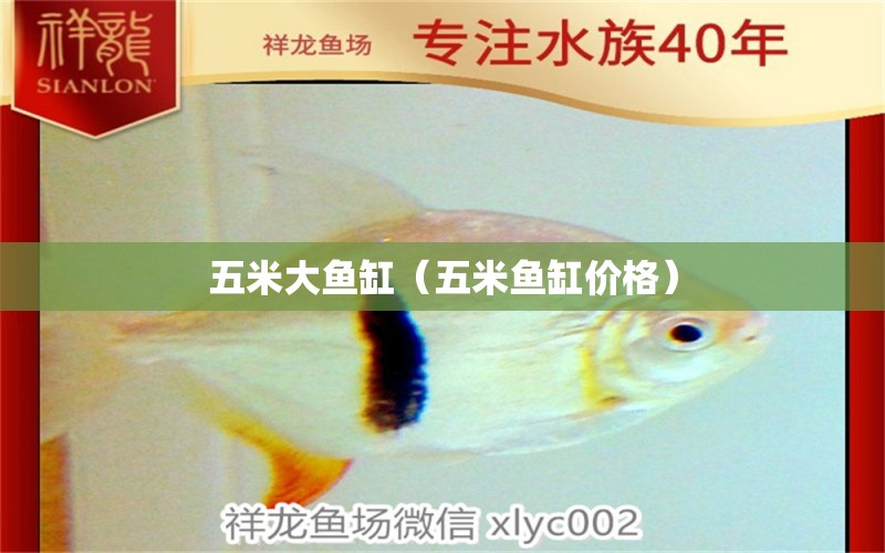 五米大魚缸（五米魚缸價(jià)格）