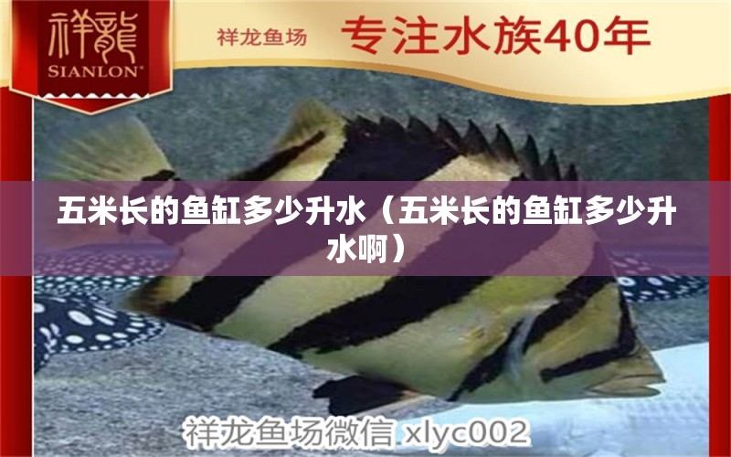 五米長的魚缸多少升水（五米長的魚缸多少升水?。?其他品牌魚缸