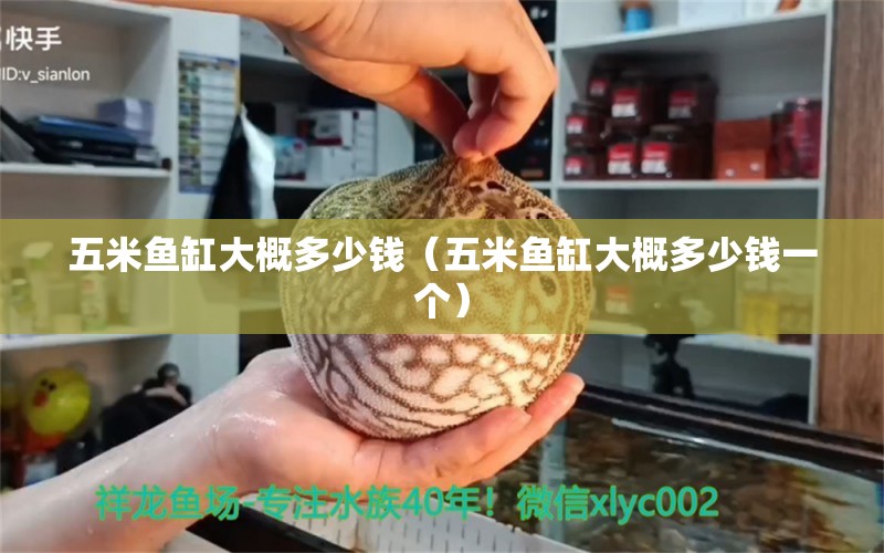 五米魚缸大概多少錢（五米魚缸大概多少錢一個）