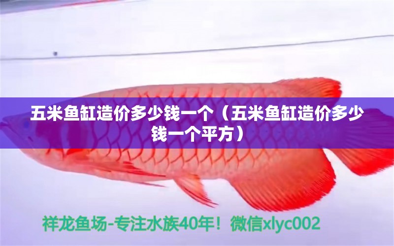 五米魚缸造價(jià)多少錢一個(gè)（五米魚缸造價(jià)多少錢一個(gè)平方）