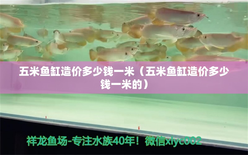 五米魚缸造價多少錢一米（五米魚缸造價多少錢一米的）