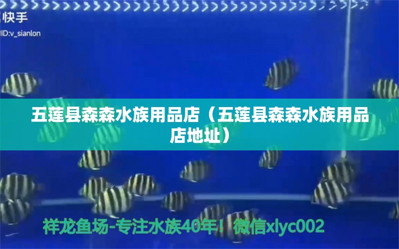 五蓮縣森森水族用品店（五蓮縣森森水族用品店地址） 水族用品