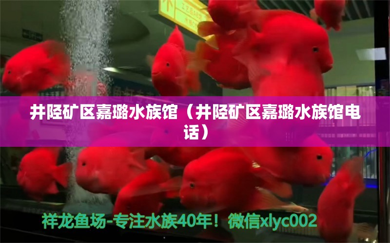 井陘礦區(qū)嘉璐水族館（井陘礦區(qū)嘉璐水族館電話）