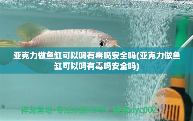 亞克力做魚缸可以嗎有毒嗎安全嗎(亞克力做魚缸可以嗎有毒嗎安全嗎) 超血紅龍魚