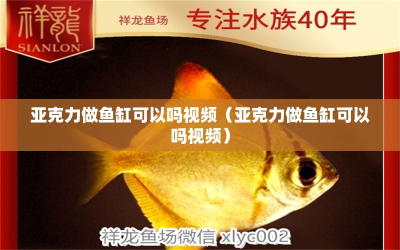 亞克力做魚缸可以嗎視頻（亞克力做魚缸可以嗎視頻） 祥龍魚場(chǎng)