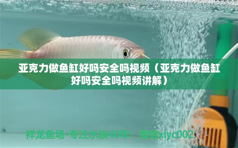 亞克力做魚缸好嗎安全嗎視頻（亞克力做魚缸好嗎安全嗎視頻講解）