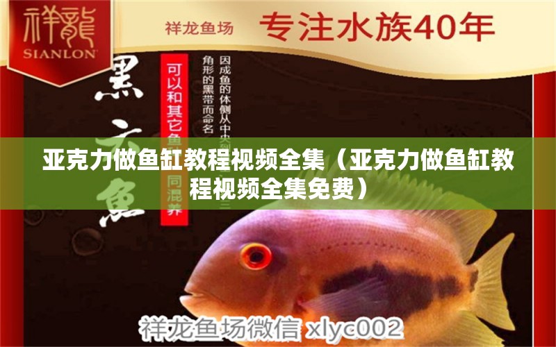 亞克力做魚(yú)缸教程視頻全集（亞克力做魚(yú)缸教程視頻全集免費(fèi)） 其他品牌魚(yú)缸