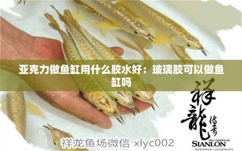 亞克力做魚(yú)缸用什么膠水好：玻璃膠可以做魚(yú)缸嗎 水族品牌 第1張