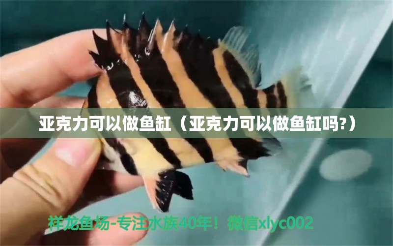 亞克力可以做魚缸（亞克力可以做魚缸嗎?）