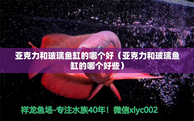 亞克力和玻璃魚缸的哪個好（亞克力和玻璃魚缸的哪個好些） 帝王三間魚