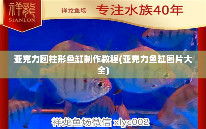 亞克力圓柱形魚(yú)缸制作教程(亞克力魚(yú)缸圖片大全) 黑云魚(yú)