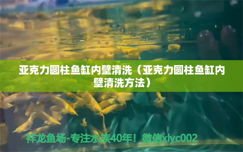 亞克力圓柱魚缸內(nèi)壁清洗（亞克力圓柱魚缸內(nèi)壁清洗方法）