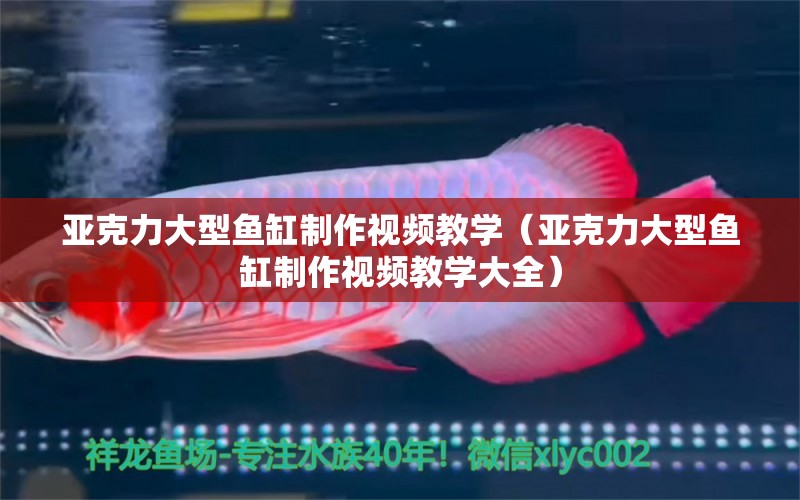 亞克力大型魚(yú)缸制作視頻教學(xué)（亞克力大型魚(yú)缸制作視頻教學(xué)大全）