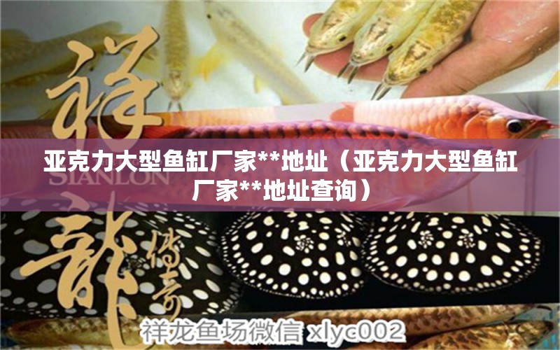 亞克力大型魚(yú)缸廠家**地址（亞克力大型魚(yú)缸廠家**地址查詢） 其他品牌魚(yú)缸