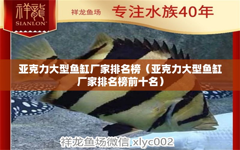 亞克力大型魚缸廠家排名榜（亞克力大型魚缸廠家排名榜前十名）