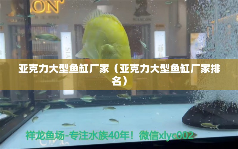 亞克力大型魚缸廠家（亞克力大型魚缸廠家排名） 其他品牌魚缸