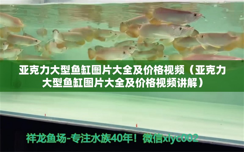 亞克力大型魚缸圖片大全及價(jià)格視頻（亞克力大型魚缸圖片大全及價(jià)格視頻講解） 其他品牌魚缸