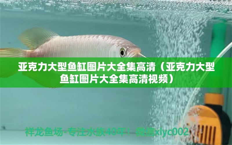 亞克力大型魚缸圖片大全集高清（亞克力大型魚缸圖片大全集高清視頻） 其他品牌魚缸