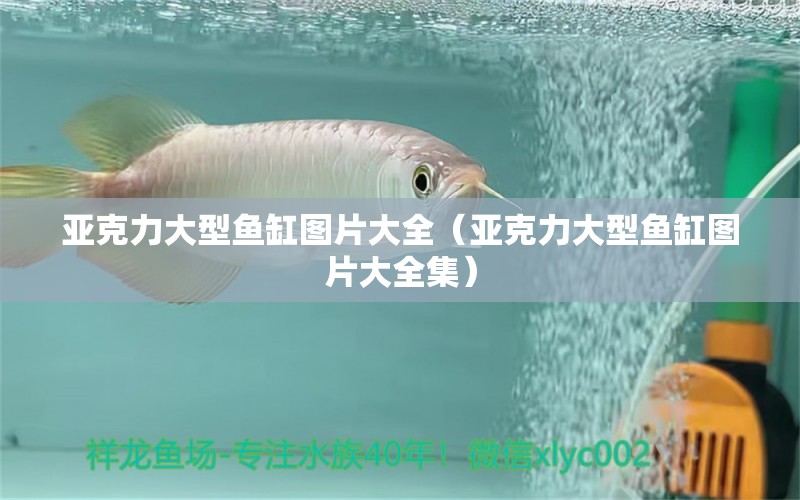 亞克力大型魚缸圖片大全（亞克力大型魚缸圖片大全集） 其他品牌魚缸