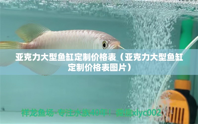 亞克力大型魚缸定制價(jià)格表（亞克力大型魚缸定制價(jià)格表圖片） 其他品牌魚缸