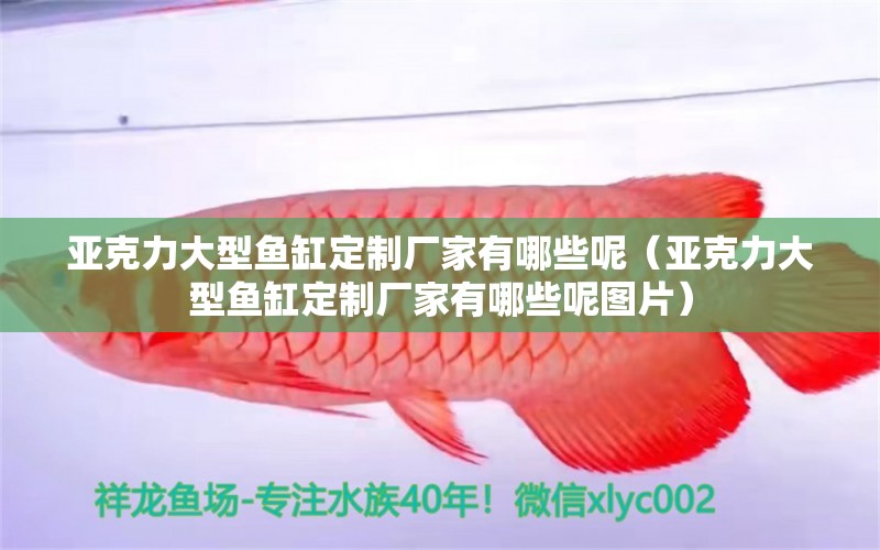 亞克力大型魚缸定制廠家有哪些呢（亞克力大型魚缸定制廠家有哪些呢圖片）