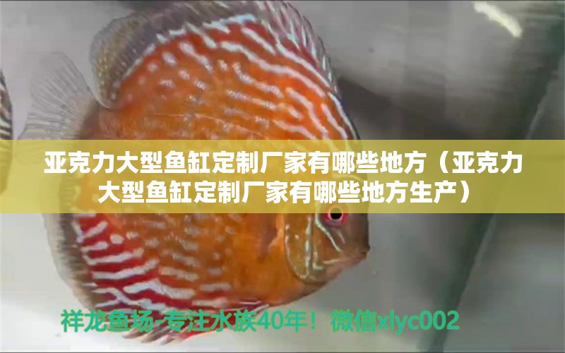 亞克力大型魚缸定制廠家有哪些地方（亞克力大型魚缸定制廠家有哪些地方生產(chǎn)）