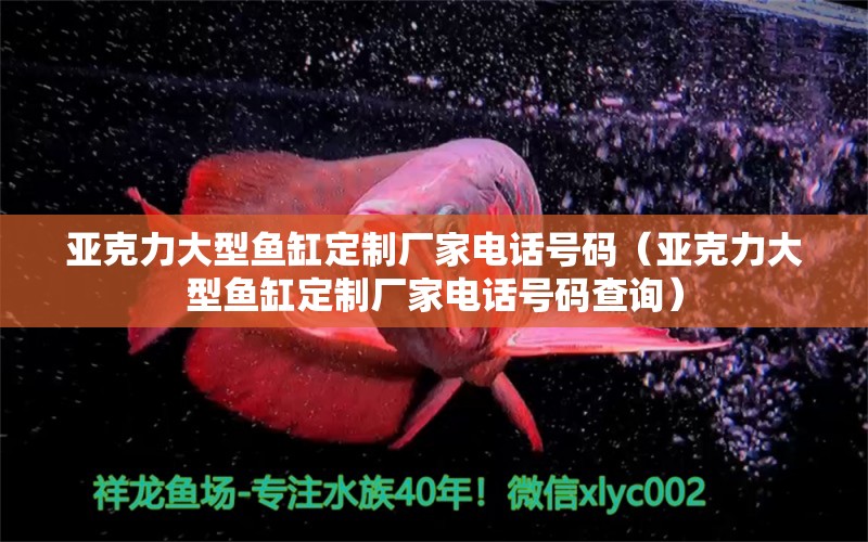 亞克力大型魚缸定制廠家電話號碼（亞克力大型魚缸定制廠家電話號碼查詢）