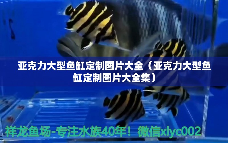 亞克力大型魚(yú)缸定制圖片大全（亞克力大型魚(yú)缸定制圖片大全集）