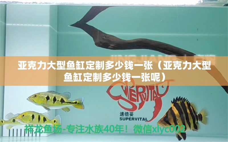 亞克力大型魚缸定制多少錢一張（亞克力大型魚缸定制多少錢一張呢）