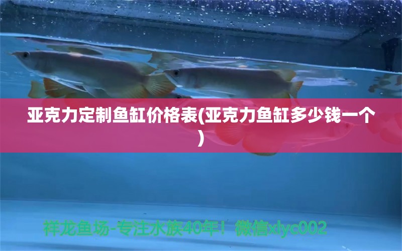 亞克力定制魚(yú)缸價(jià)格表(亞克力魚(yú)缸多少錢一個(gè)) 金龍福龍魚(yú)