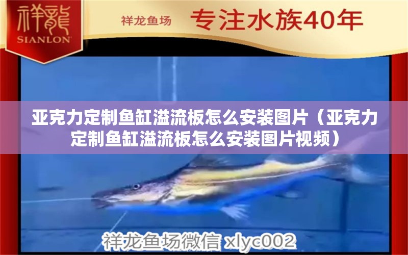 亞克力定制魚缸溢流板怎么安裝圖片（亞克力定制魚缸溢流板怎么安裝圖片視頻）