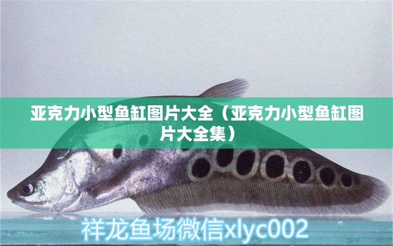 亞克力小型魚缸圖片大全（亞克力小型魚缸圖片大全集） 其他品牌魚缸