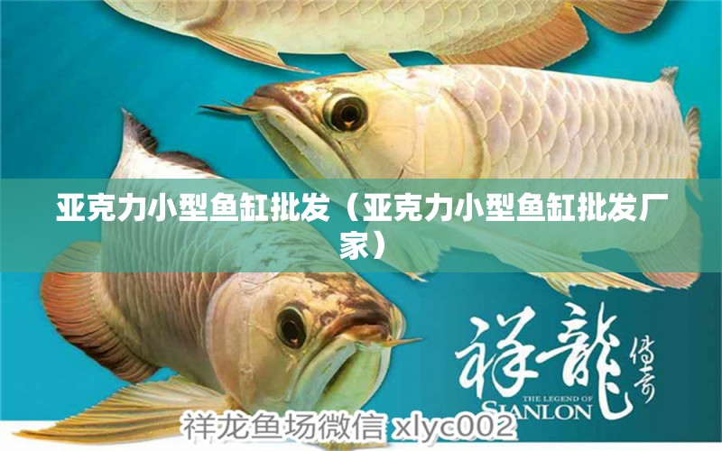 亞克力小型魚缸批發(fā)（亞克力小型魚缸批發(fā)廠家） 其他品牌魚缸