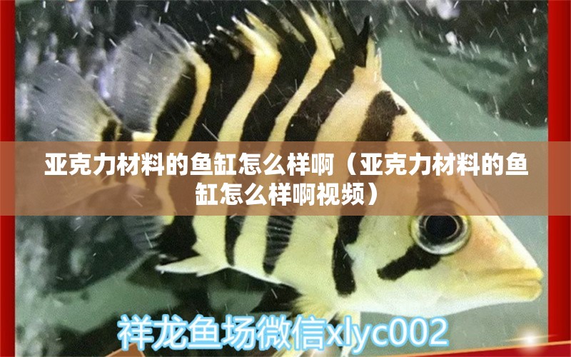 亞克力材料的魚(yú)缸怎么樣?。▉喛肆Σ牧系聂~(yú)缸怎么樣啊視頻）