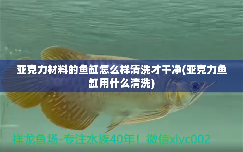 亞克力材料的魚(yú)缸怎么樣清洗才干凈(亞克力魚(yú)缸用什么清洗) 海象魚(yú)