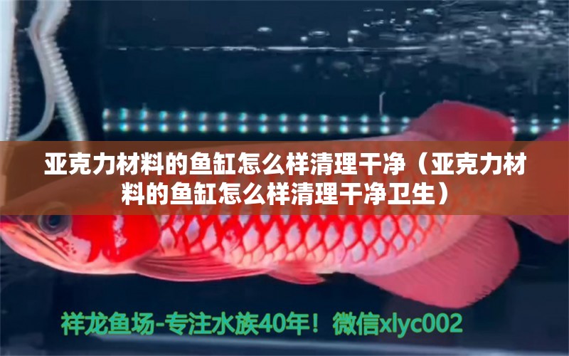 亞克力材料的魚缸怎么樣清理干凈（亞克力材料的魚缸怎么樣清理干凈衛(wèi)生）