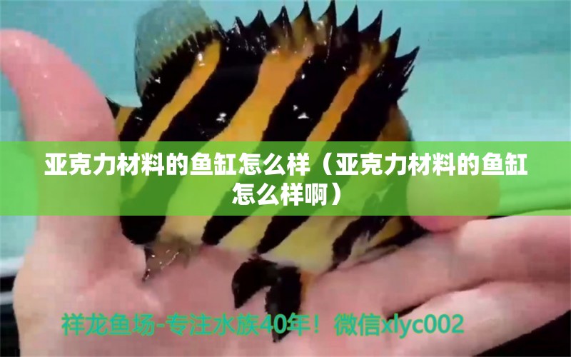 亞克力材料的魚缸怎么樣（亞克力材料的魚缸怎么樣?。?其他品牌魚缸