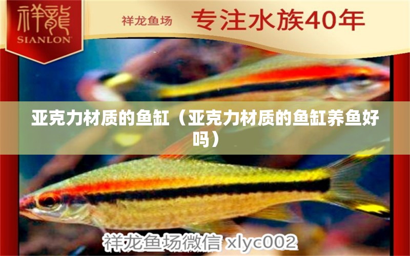 亞克力材質(zhì)的魚缸（亞克力材質(zhì)的魚缸養(yǎng)魚好嗎）