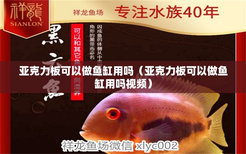 亞克力板可以做魚缸用嗎（亞克力板可以做魚缸用嗎視頻）