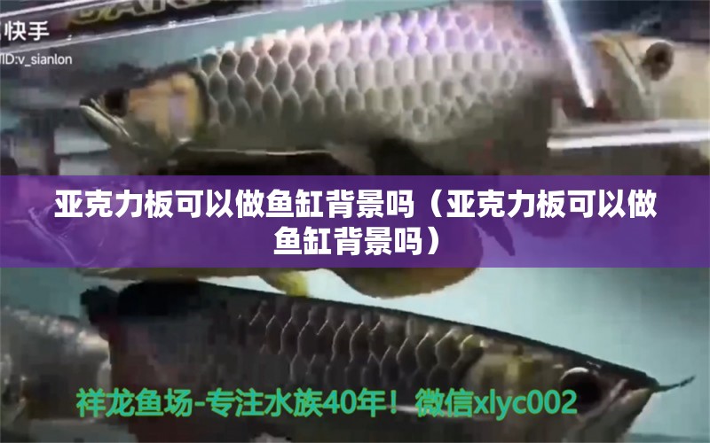 亞克力板可以做魚缸背景嗎（亞克力板可以做魚缸背景嗎）