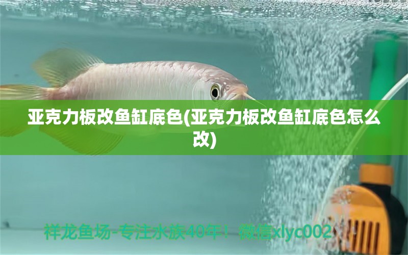 亞克力板改魚缸底色(亞克力板改魚缸底色怎么改) 玫瑰銀版魚