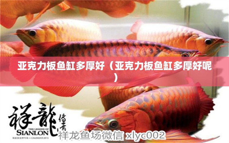 亞克力板魚缸多厚好（亞克力板魚缸多厚好呢）