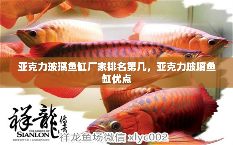 亞克力玻璃魚缸廠家排名第幾，亞克力玻璃魚缸優(yōu)點 虎魚魚苗