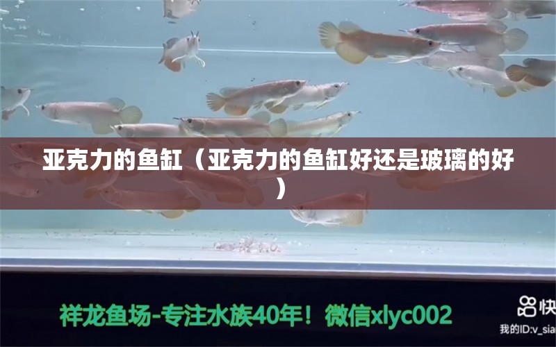 亞克力的魚缸（亞克力的魚缸好還是玻璃的好）